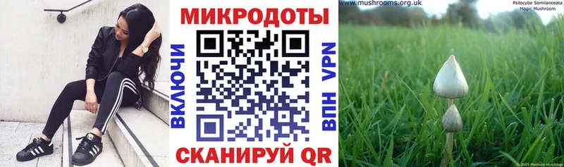 Псилоцибиновые грибы ЛСД  блэк спрут   Феодосия  где купить наркоту 
