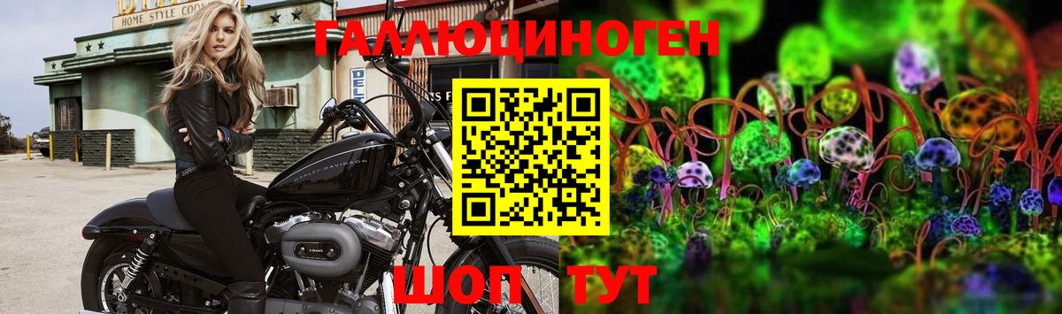 Галлюциногенные грибы MAGIC MUSHROOMS  Псилоцибиновые грибы Psilocybe  Феодосия  Вход с VPN 